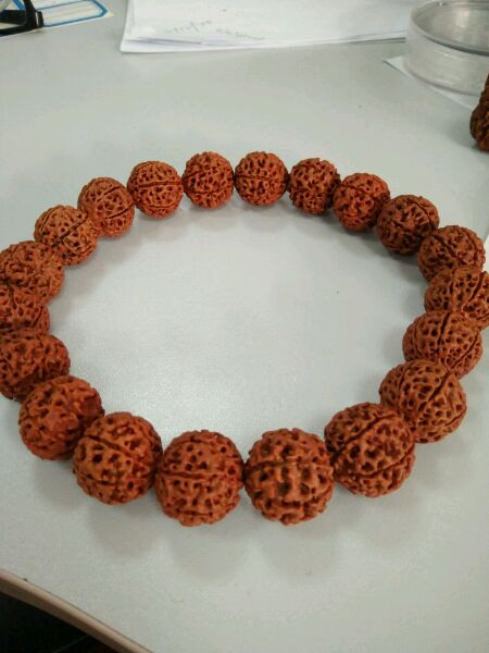 七瓣金刚和落地红的区别,金刚菩提落地红和真的区别