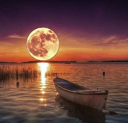 三毛极美的九句话道尽人生,三毛的话惊艳了时光温暖了岁月