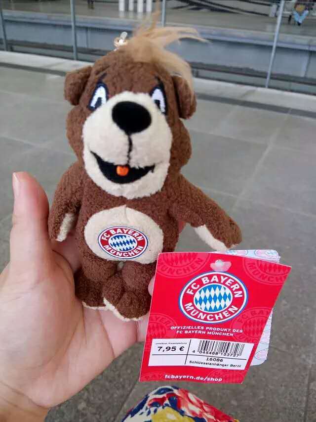 南部之星球迷版,南部之星慕尼黑