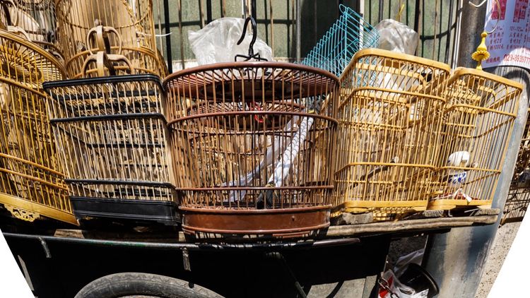 实拍：西安市井的味道