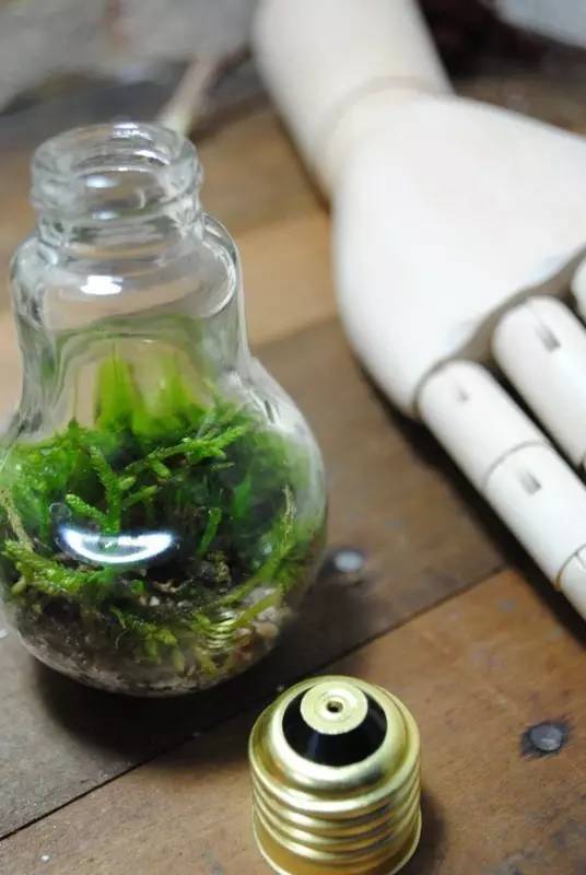 爱迪生发明电灯时，肯定想不到今天大家会这样玩丨壹起玩