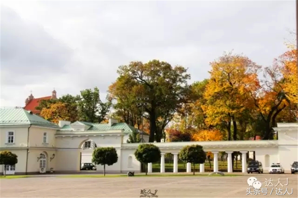 猜猜哪个国家连刺猬都有路牌？