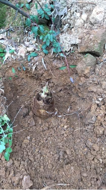 人民币打窝子，巧夺大黑鱼！