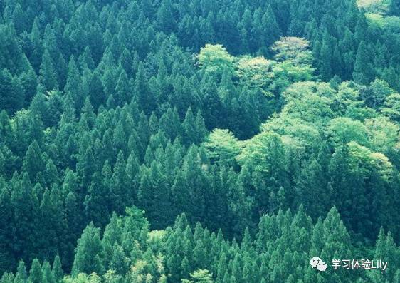 欲擒故纵英文原文,欲擒故纵用英文怎么解释