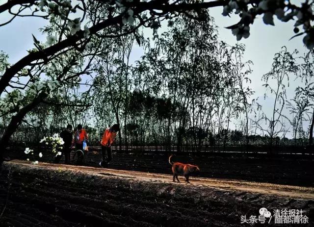 清徐县规划建设的27个村是什么村,清徐未来大项目