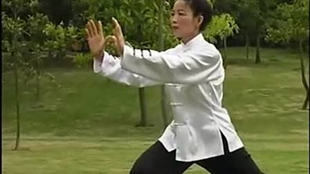 杨式85式太极拳单鞭分几步,杨式85式太极拳单鞭的攻防含义