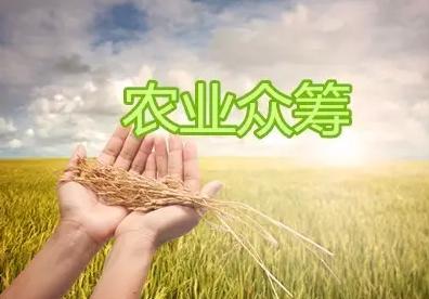 农业众筹新时代：网易全民养猪、苏宁卖大闸蟹、京东卖大米