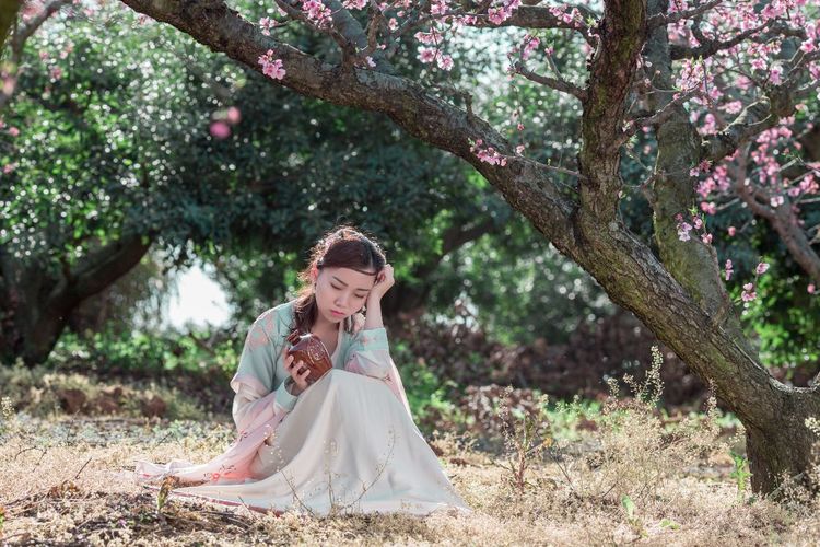 嗨哩文旅怎么样,嗨哩文旅最新视频