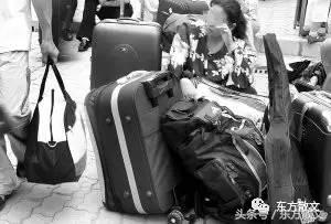 小院里的大世界,小院子大世界