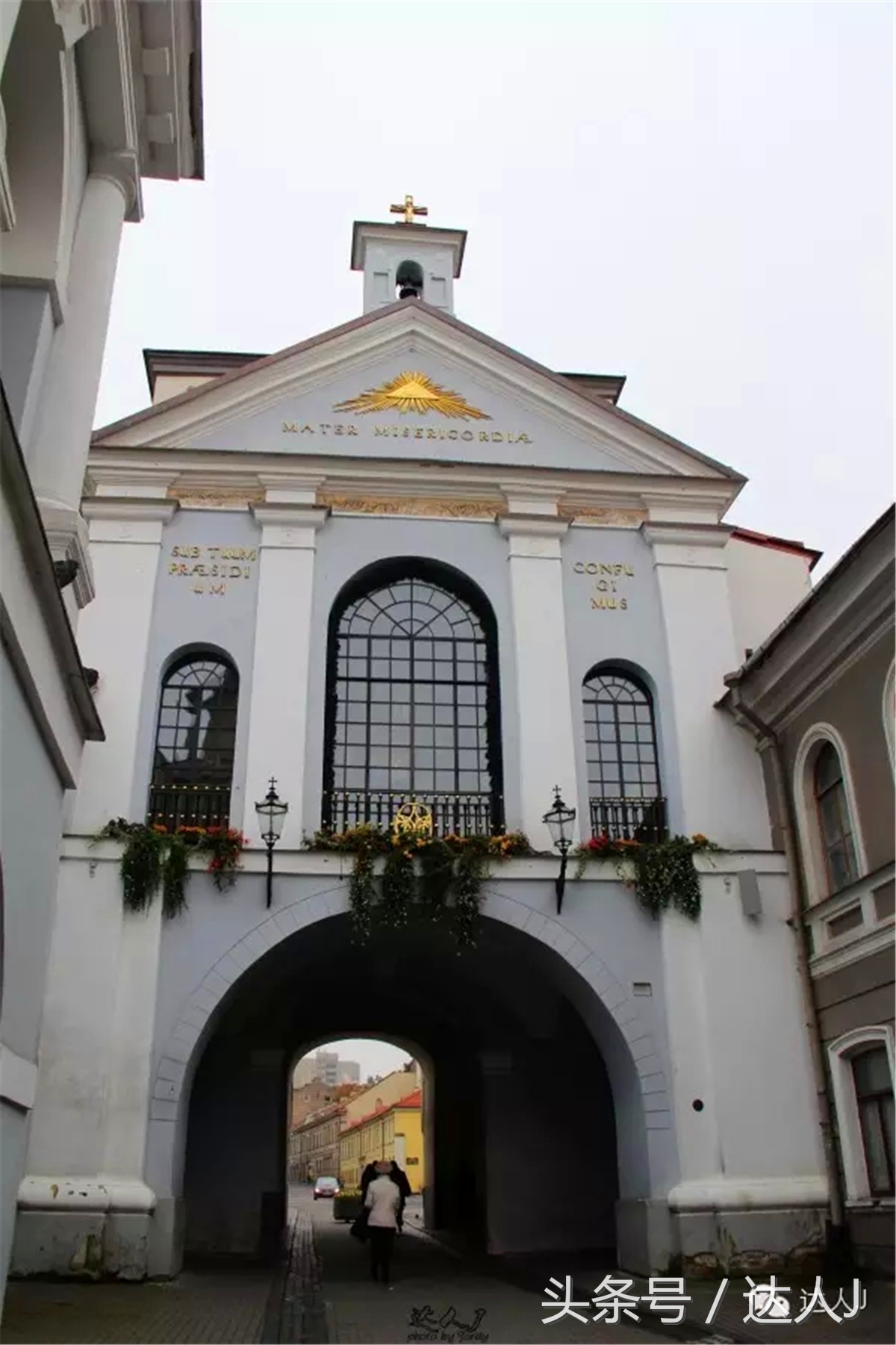 猜猜哪个国家连刺猬都有路牌？