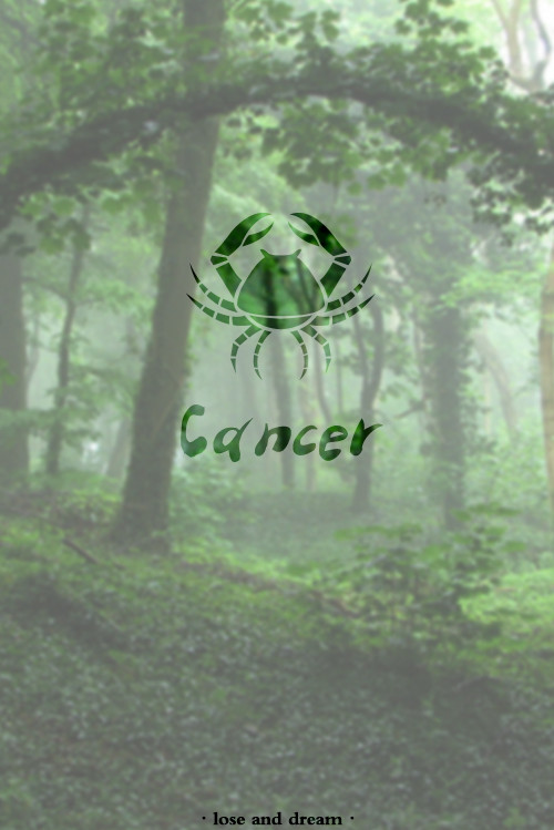 十二星座古风壁纸双鱼座最漂亮,哆啦a梦手机壁纸高清十二星座