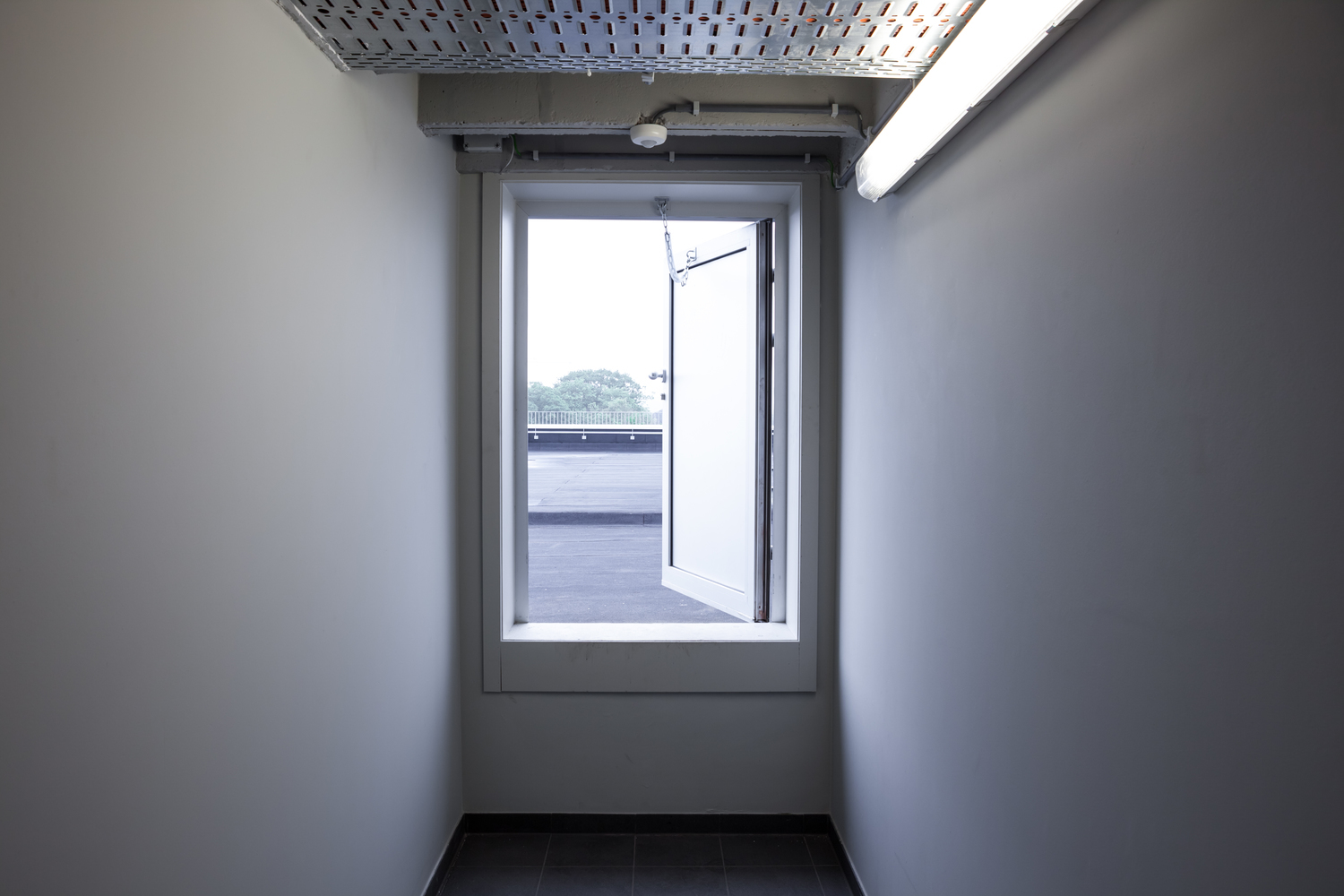 虹口足球场起火,虹口足球场火灾视频