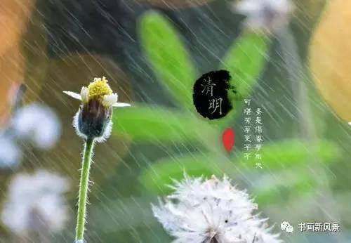 清明这首古诗的翻译,清明这首古诗怎么画