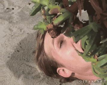 愚人节十大经典整蛊招式,愚人节整蛊大家小妙招