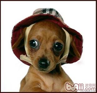 外国搞怪整蛊开头,整蛊的奇葩招数