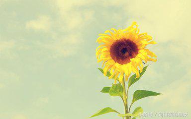 不要把重心放在一个人身上,当你把重心放在一个人身上