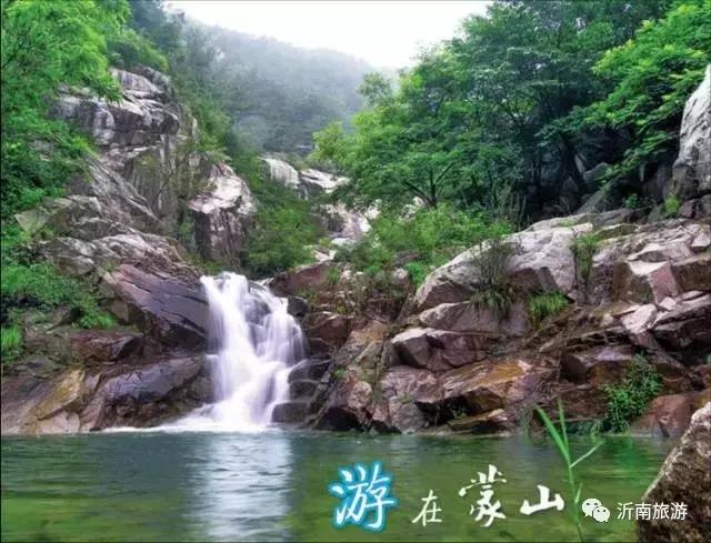 山东沂南秋日花海醉游人,沂南周边看梨花景点