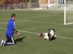 我一个人就是一条后防线——守门员扑救练习