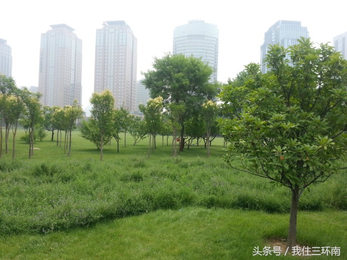 郑州市周边有哪些免费的公园,郑州十大免费公园排名