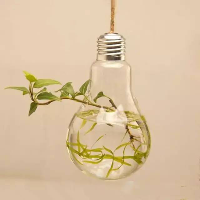 爱迪生发明电灯时，肯定想不到今天大家会这样玩丨壹起玩