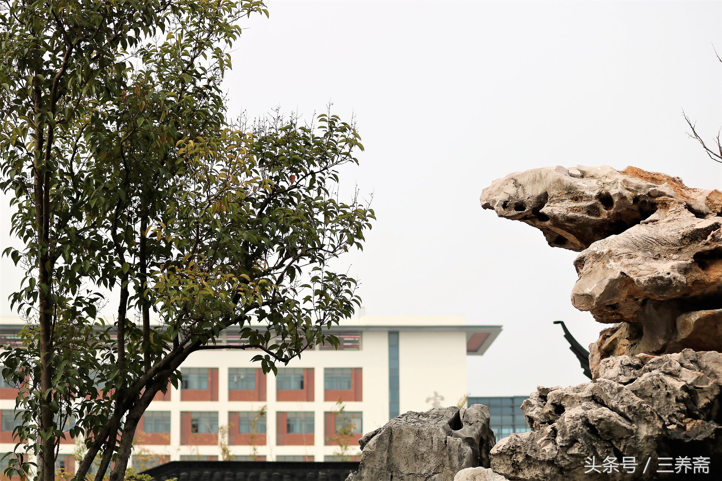 鏄嗗北涓鏍″洯椋庢櫙,鏄嗗北涓鏍″洯鏅壊