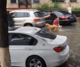 妹子说她没整容怎么解释,女性整容明星却说自己没整容