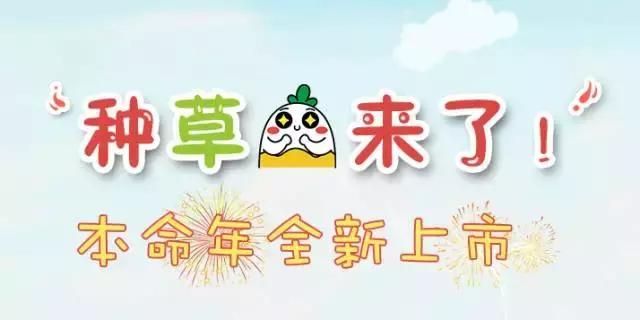 40块钱的口红靠谱吗,40岁素颜口红推荐