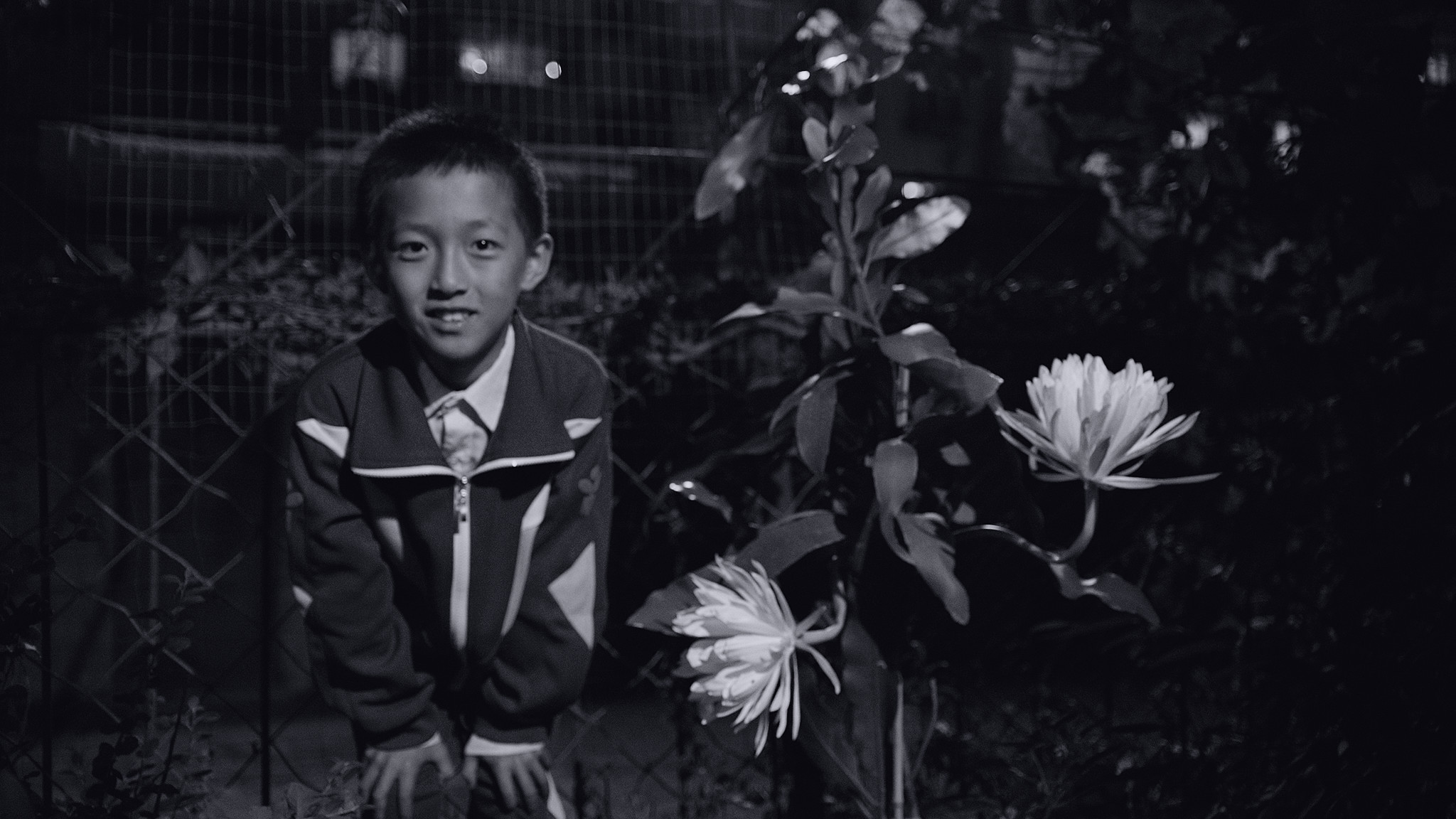 八月美好的时光,八月留住美好时光