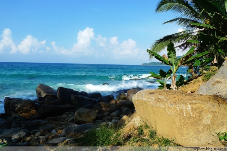 没有电没有通讯的孤独小岛生态奇好，巨大的蜥蜴自在游玩不怕人