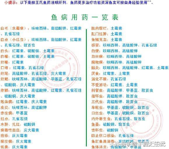 锦鲤外伤用什么药最好,锦鲤有外伤伤口发白