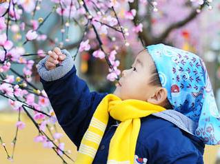 皮肤过敏，起红疹，用一味中药两个穴位搞定