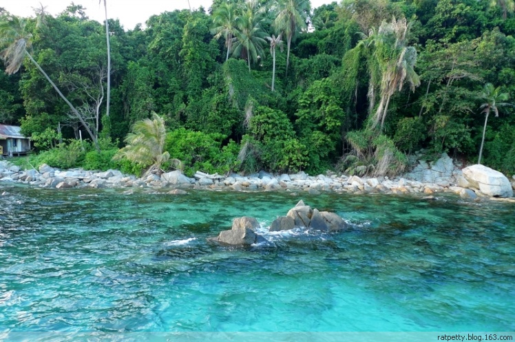 没有电没有通讯的孤独小岛生态奇好，巨大的蜥蜴自在游玩不怕人