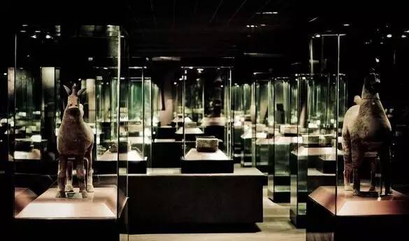 收好这份清单!青羊免费踢球、逛展,来这儿就对啦!