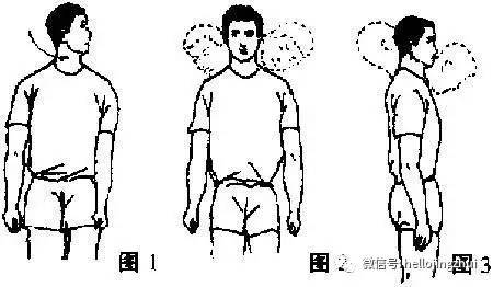 不花1分钱在家练瑜伽,不花一分钱锻炼背部