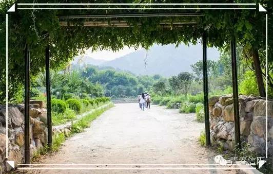 信阳周边两天一夜旅游推荐,五一信阳周边游玩攻略两天一晚