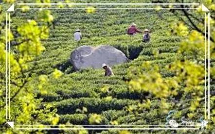 信阳周边两天一夜旅游推荐,五一信阳周边游玩攻略两天一晚