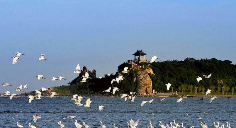 清明去哪儿玩？秦皇岛这些景区开业啦（含最新票价）