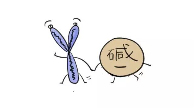 我赌唐僧生太子，胜率51%