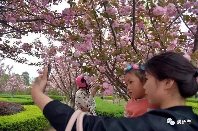 寻找紧急扩散人员名单,紧急寻找紧急扩散