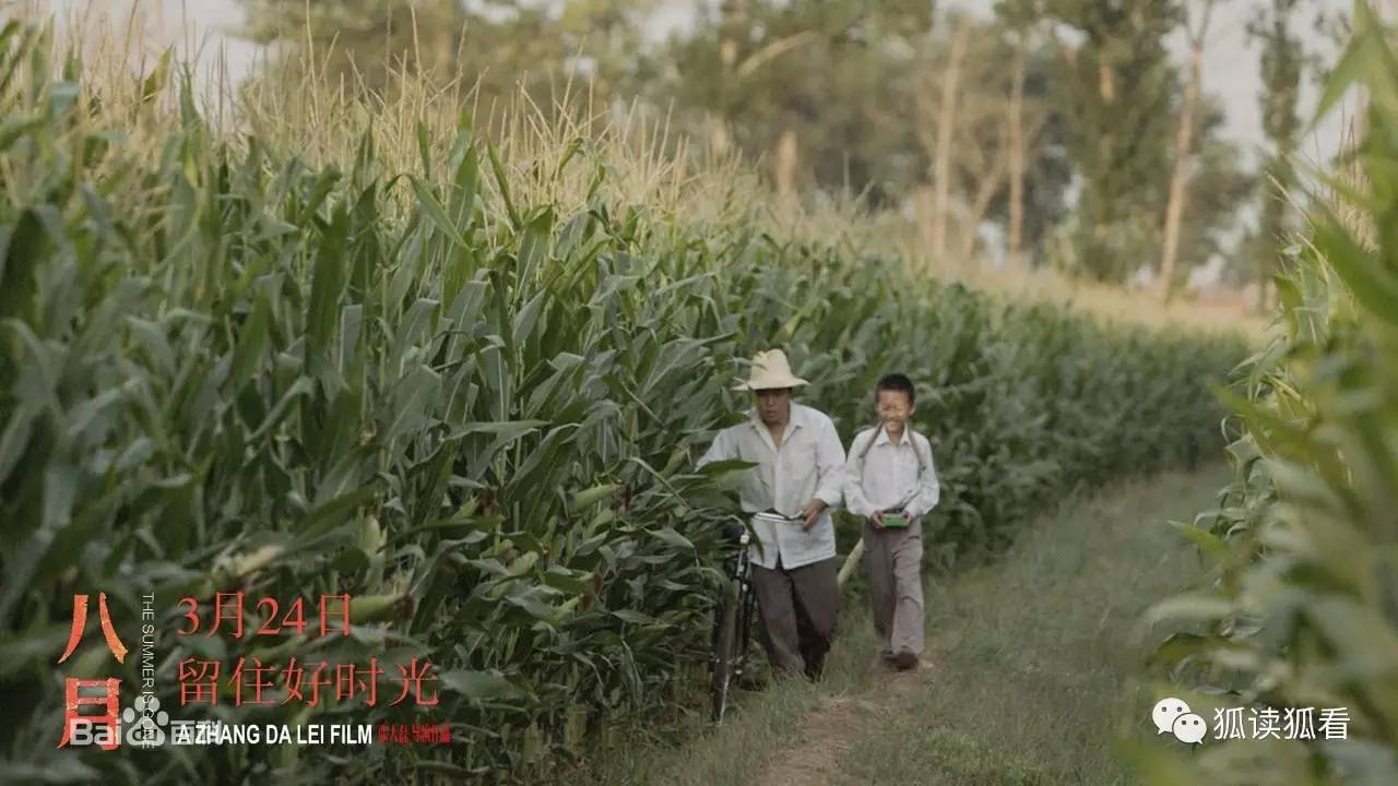 看完八月未央决定放手,看完八月未央还是没有释怀