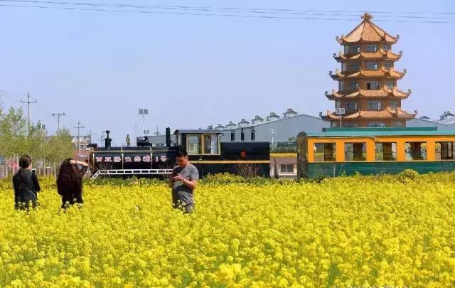 美爆了春天好去处,天津春天赏花的地方有哪些推荐