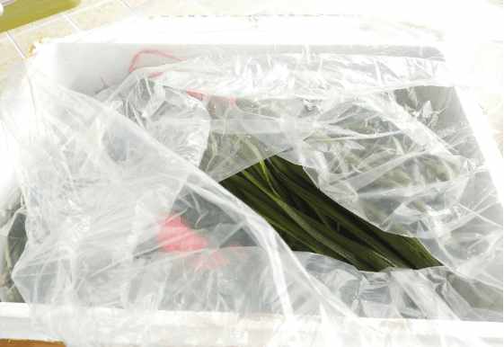 一个三米的鱼池需要多钱,一个观赏鱼池大概多少钱