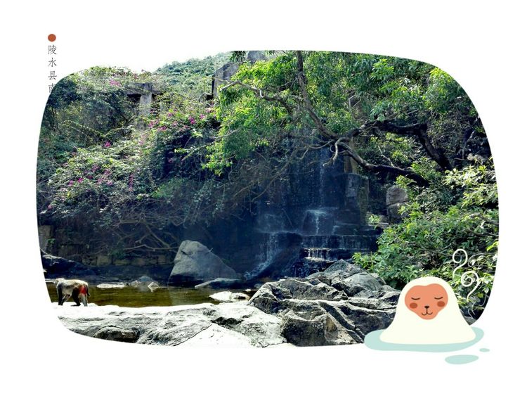 海南之旅感悟,海南行的点滴回忆