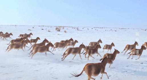 广东人文旅游圣地,广东小众但绝美的旅游地点