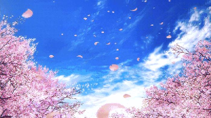 初春赏花目的地推荐之樱花烂漫篇,鸡鸣寺的樱花开了春日赏花好去处