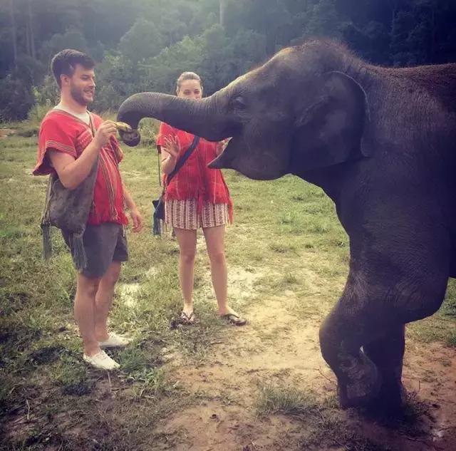 泰国清迈chiangmai古城,清迈吃喝玩乐攻略