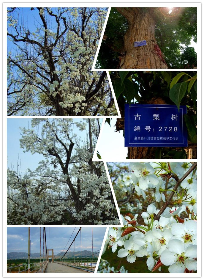 兰州古村落古民居,兰州的破败的古村落