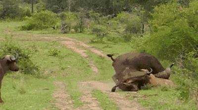 后面的那个小胖子，知道你很可爱，快走开我还要拍照呢！