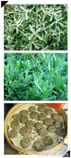 大别山深处的绝美山珍!