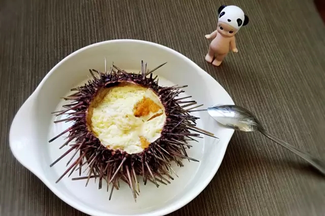 海胆营养丰富,海胆营养辅食有哪些做法
